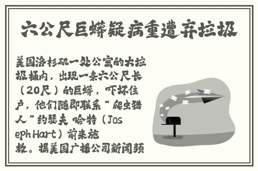 在线精品一区在线观看精品国产